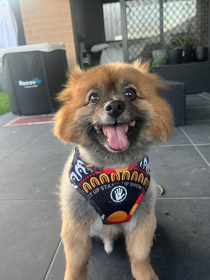 Flag Harness + Lead